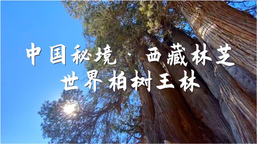 白色T恤+紧身牛仔裤，微胖小姐姐也能穿出傲人身姿，你觉得怎么样？